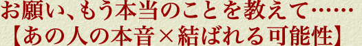 お願い、もう本当のことを教えて……【あの人の本音×結ばれる可能性】