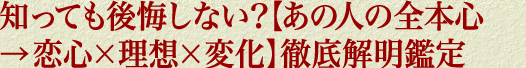 知っても後悔しない？【あの人の全本心→恋心×理想×変化】徹底解明鑑定